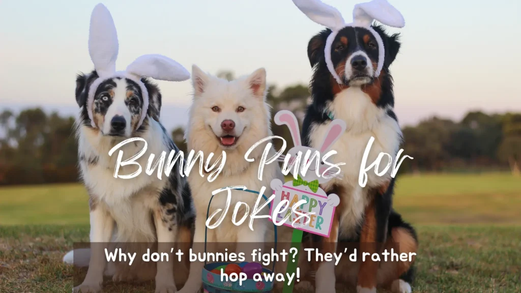 bunny-puns-for-jokes