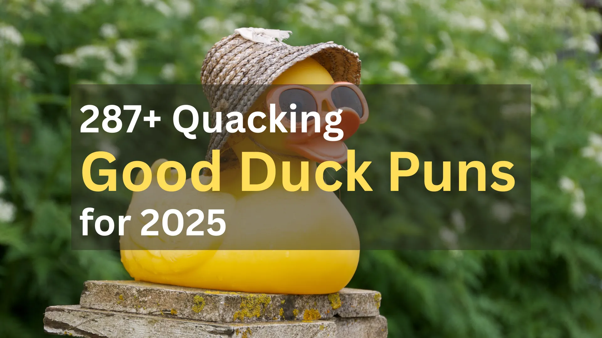 Duck Puns