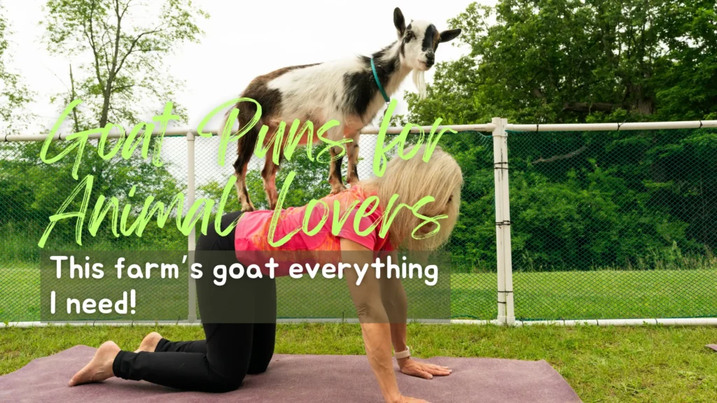 Goat Puns for Animal Lovers