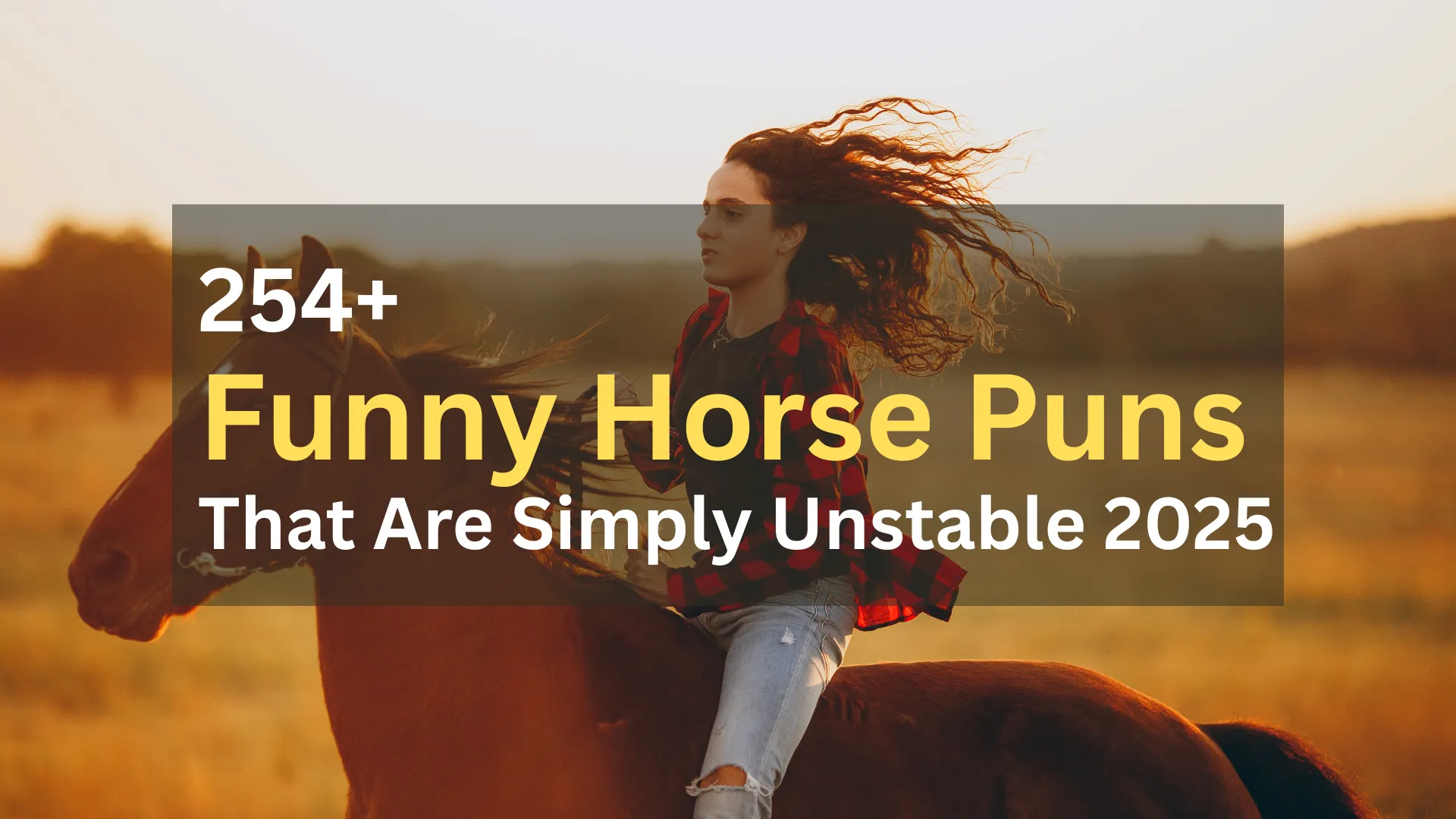 Horse Puns