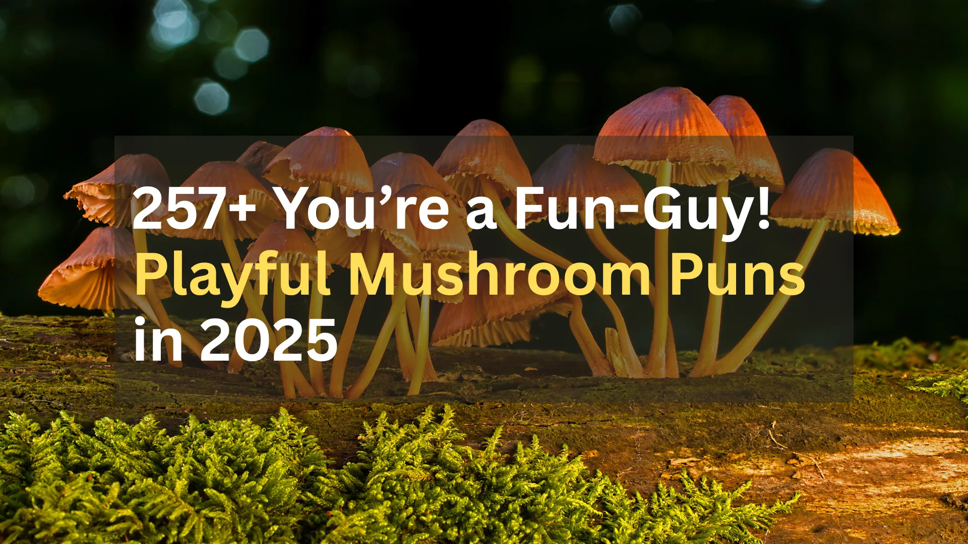 Mushroom Puns