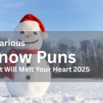 Snow Puns