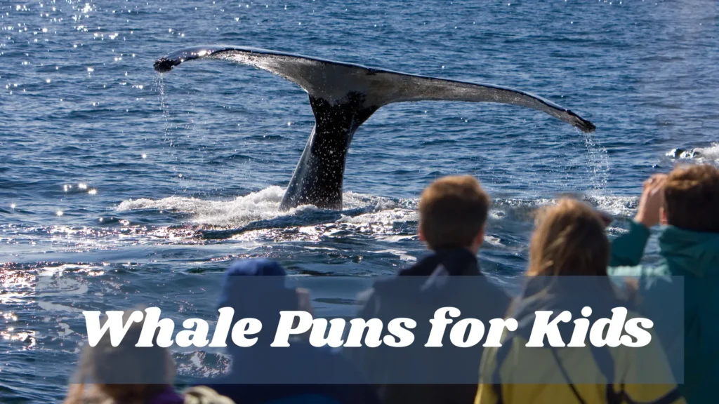 Whale Puns for Kids