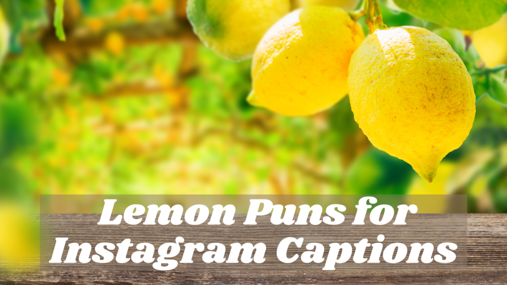 Lemon Puns for Instagram Captions
