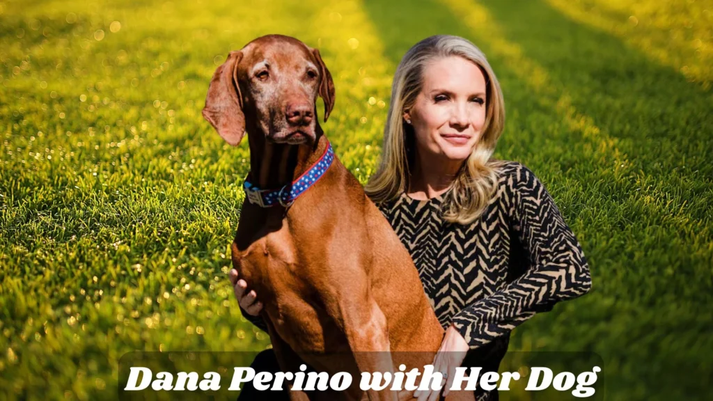 Is Dana Perino’s Husband OK