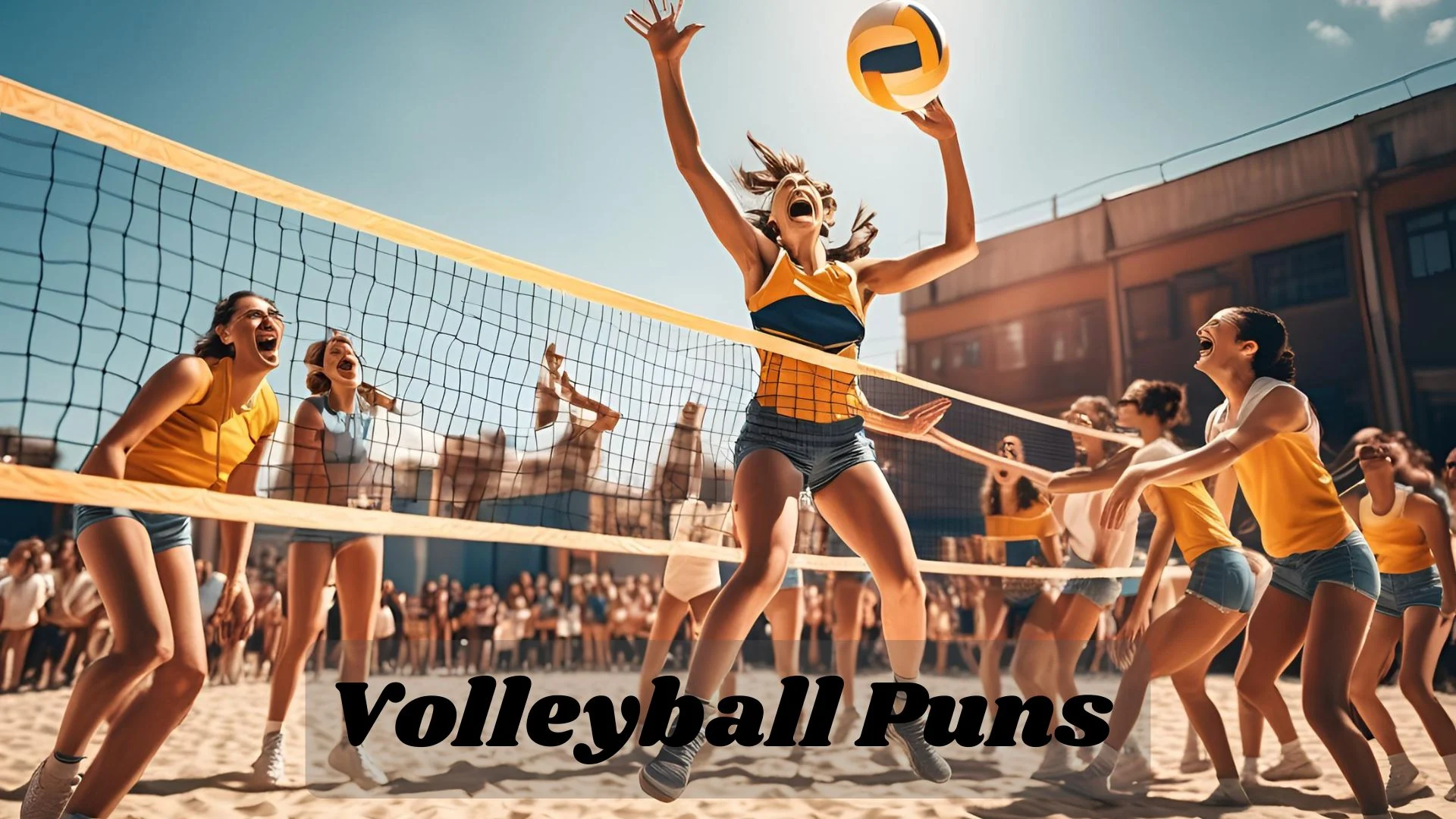 Volleyball Puns