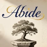 What Does Abide Mean